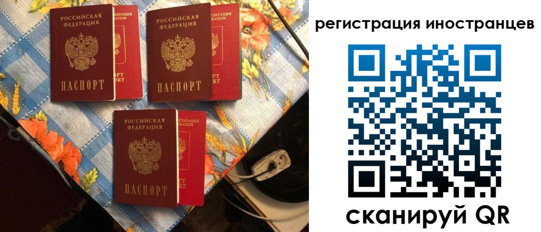 прописка поиск в Ставропольском крае